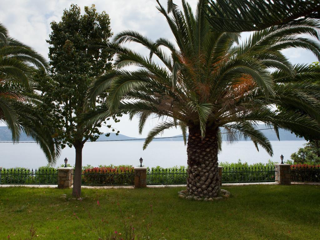 Alonissos Muses Villas Kalamakia 外观 照片