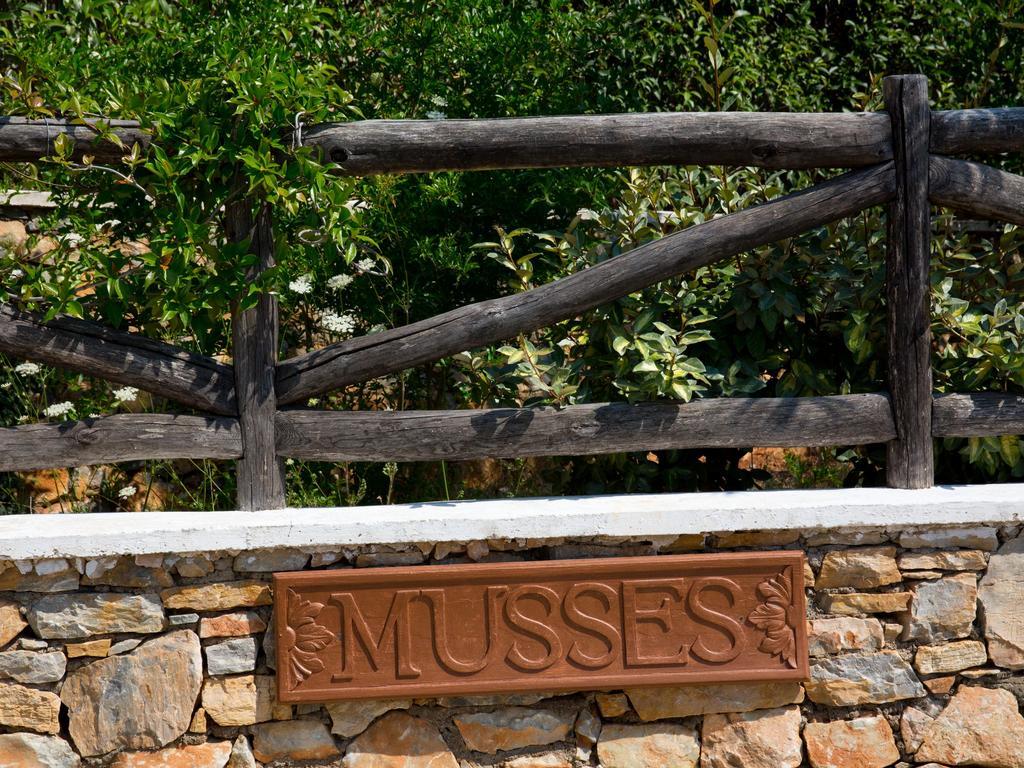 Alonissos Muses Villas Kalamakia 外观 照片